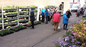 market stall2
