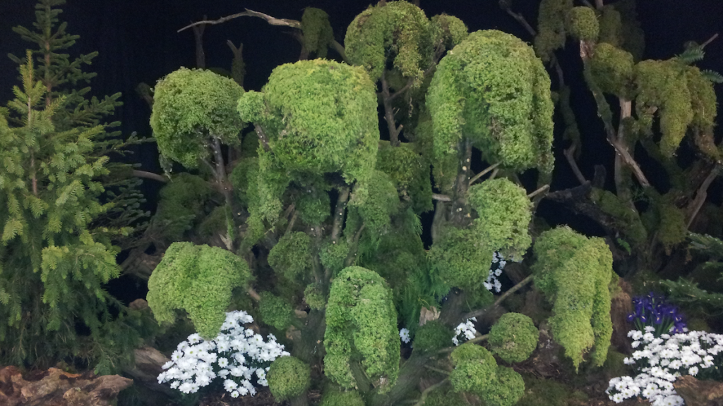 The 'cloud tree'