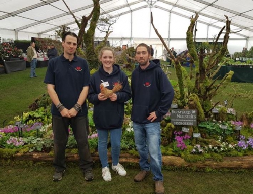 RHS Flower Show – Cardiff April 2018