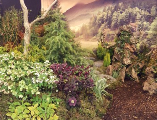 Winter Gardening Weekend 2018