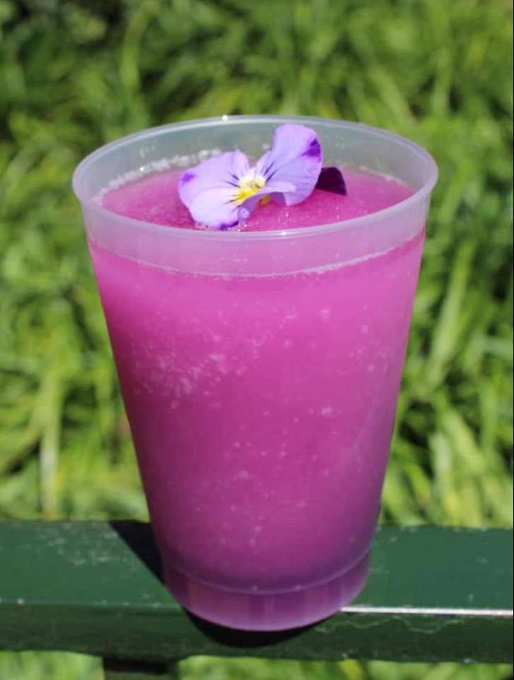 violet-lemonade-epcot-May2019 violet lemonade