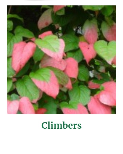 Shop for Climbers