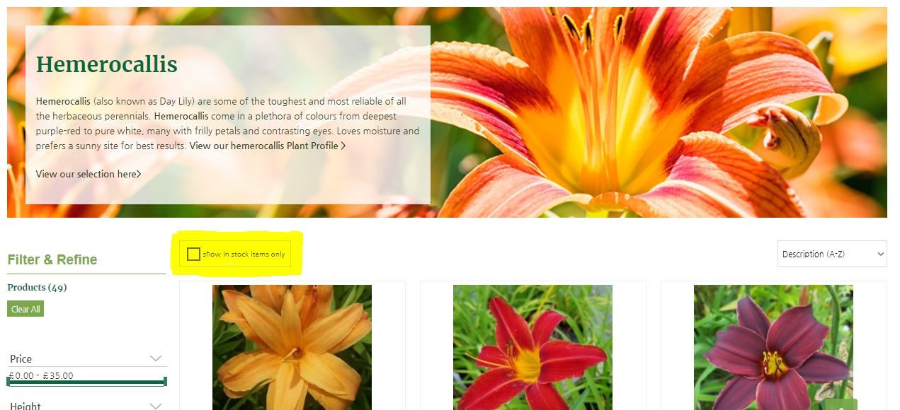 website filter for out of stock plants