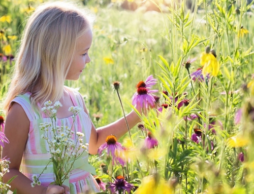 Prairie-style Planting