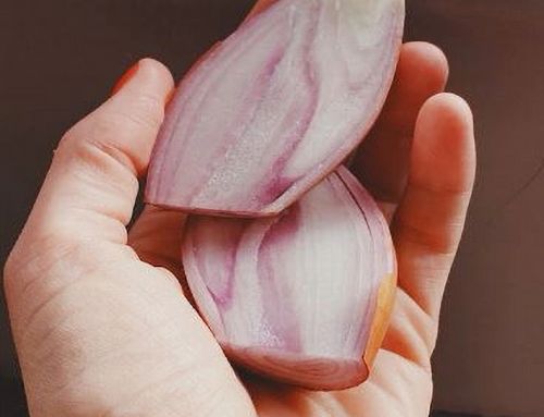 A Guide To Growing Autumn Shallots