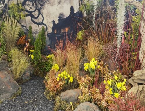 Llandysul Gardening Weekend Feb 19th-22nd 2026